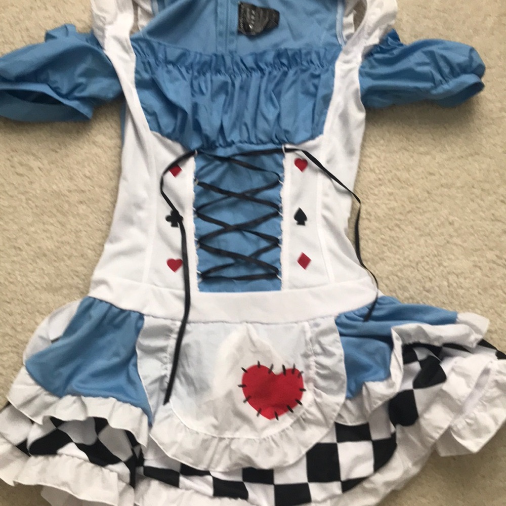 Alice in wonderland custome